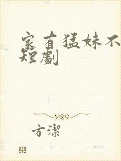 家有猛妹不好惹短剧