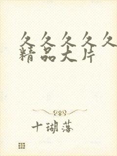 久久久久久国产精品大片