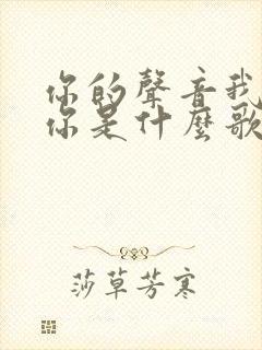 你的声音我愿有你是什么歌