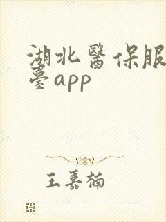 湖北医保服务平台app