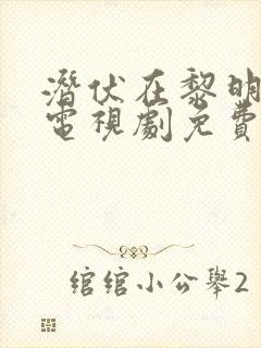 潜伏在黎明之前电视剧免费观看全集