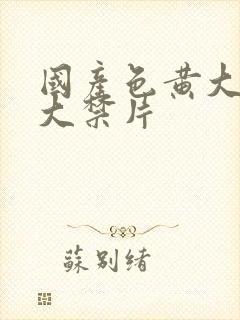 国产色黄大片十大禁片