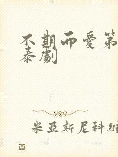 不期而爱第二季泰剧