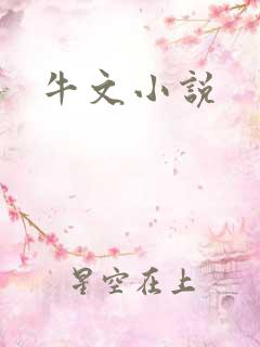 牛文小说