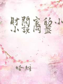 财阀家的小儿子小说网盘