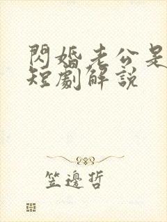 闪婚老公是总裁短剧解说