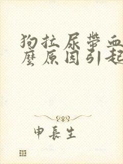 狗拉尿带血是什么原因引起的