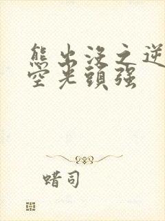 熊出没之逆转时空光头强