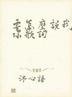 要怎么说我不爱你歌词