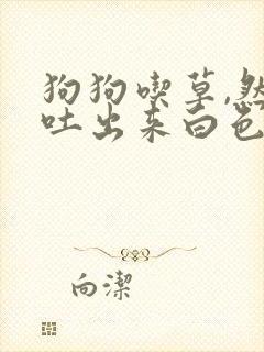 狗狗吃草,然后吐出来白色的泡沫