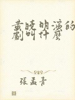 黄晓明演的谍战剧叫什么