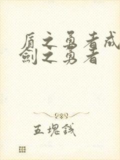 盾之勇者成名录剑之勇者