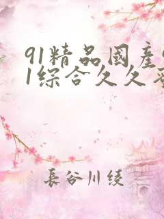 91精品国产91综合久久蜜