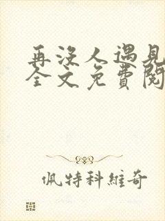 再没人遇见小说全文免费阅读