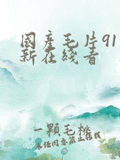 国产毛片91最新在线看