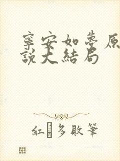 宁安如梦原著小说大结局