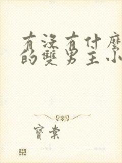 有没有什么好看的双男主小说