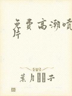 免费高潮喷水毛片