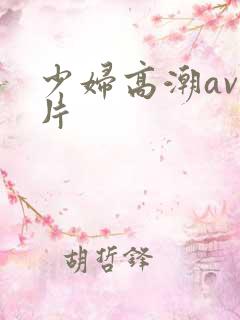 少妇高潮av毛片