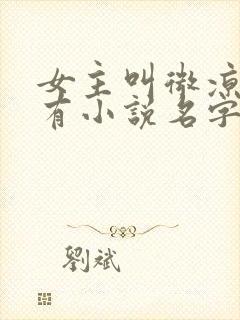 女主叫微凉的所有小说名字
