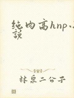 纯肉高hnp小说