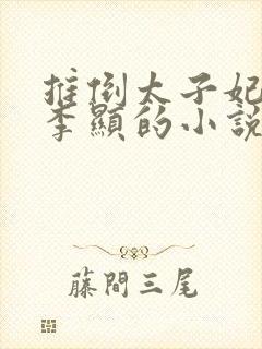 推倒太子妃开始李显的小说