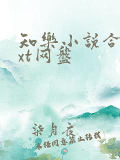 知乐小说合集txt网盘