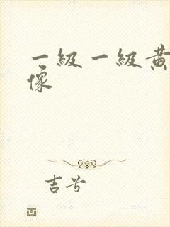 一级一级黄色录像