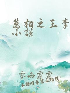 万相之王李洛的小说