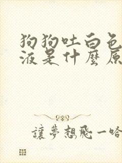 狗狗吐白色的粘液是什么原因