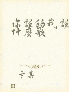 你说的我说的是什么歌