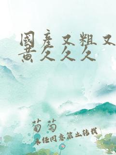 国产又粗又猛又黄久久久