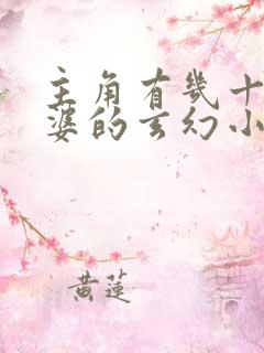 主角有几十个老婆的玄幻小说