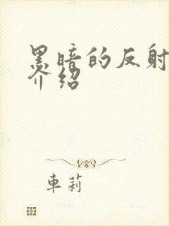 黑暗的反射剧情介绍