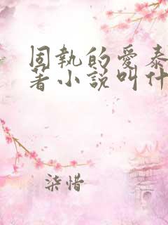 固执的爱泰剧原著小说叫什么