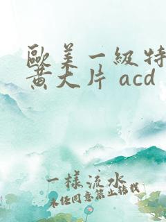 欧美一级特黄特黄大片 acd
