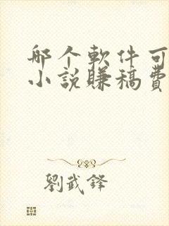 哪个软件可以写小说赚稿费