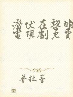 潜伏在黎明之前电视剧免费观看完整版