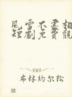 风雪不尽相思情短剧免费观看高清