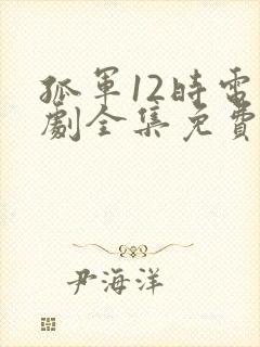 孤军12时电视剧全集免费播放高清