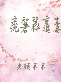 宋智慧重生70沈君桦追妻