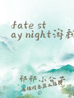 fate stay night游戏资源