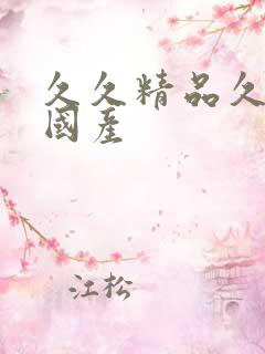 久久精品久久久国产