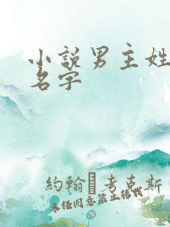 小说男主姓林的名字