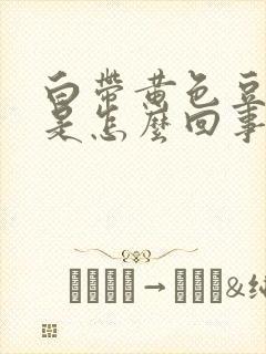 白带黄色豆腐渣是怎么回事