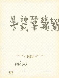 凤神降临txt下载笔趣阁