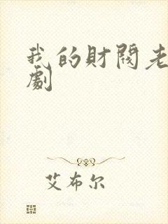 我的财阀老婆短剧