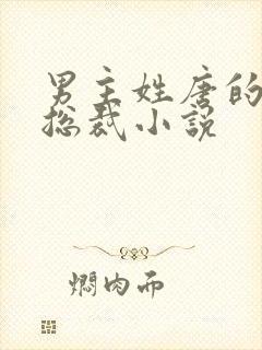 男主姓唐的霸道总裁小说