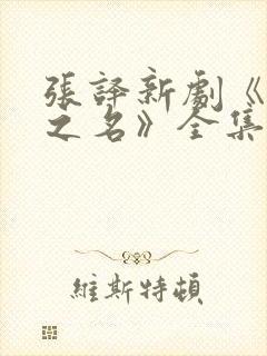 张译新剧《以法之名》全集免费观看