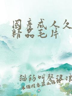 国产成人久久久精品毛片